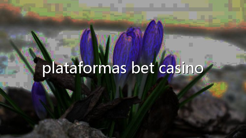 Social poker: transforme cada mesa em um encontro cheio de estratégia